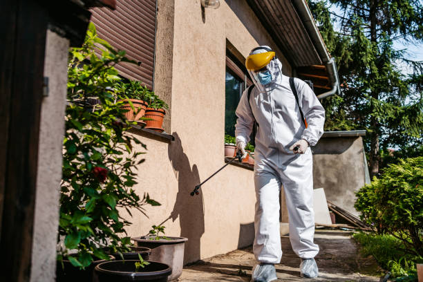 Best Pest Control for Homes  in Kapaau, HI