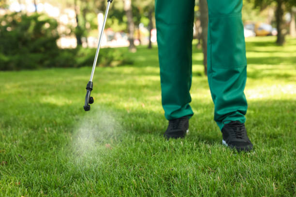 Best Affordable Pest Control Services  in Kapaau, HI