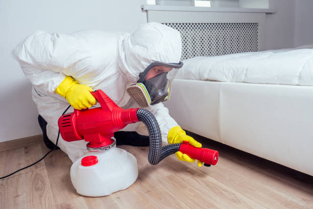 Best Flea Control Services  in Kapaau, HI