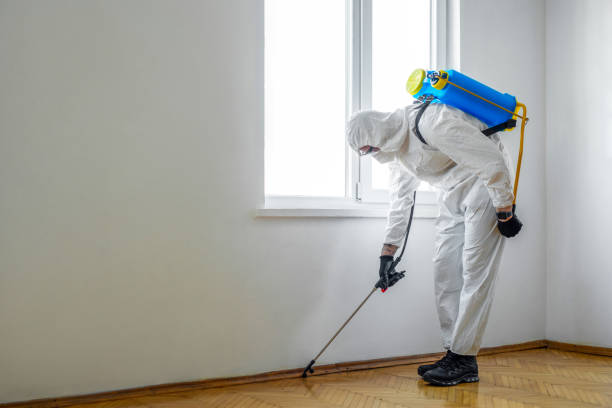 Best Emergency Pest Control  in Kapaau, HI