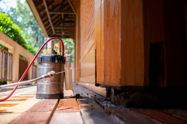 Best Commercial Pest Control Services  in Kapaau, HI
