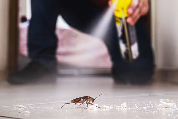 Best Pest Removal Services  in Kapaau, HI